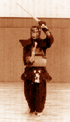 kamae2sepia.gif (31285 octets)